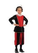 Tudor Boy Forbidden-Lovers Costume image