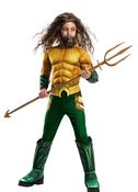 Aquaman Deluxe – DC – Justice League – Boys image