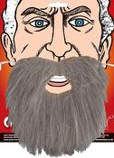 Grey Beard Elasticated image