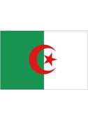 Algeria Flag 5ftx3ft image