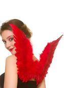 Angel Wings Red (Kids) 30x42cm image