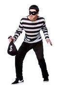 Burglar/Bank Robber Costume image