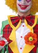 Clown Squirt Flower 11cm
