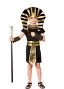 Egyptian Pharaoh image