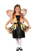 Butterfly Fairy Costume image
