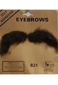 Eyebrows Blonde image