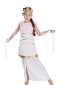 Grecian Goddess / Angel Costume image