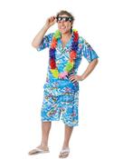 Hawaiian Man Costume image