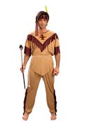Indian Native American Costume image