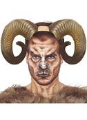 Large Ram Horns – Natural 20cm image