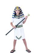 Pharaoh - Egyptian Boys Costume image
