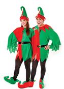 Unisex Elf Costume image