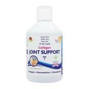 ​Swedish Nutra Joint Support image