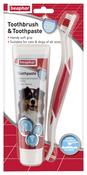 Beaphar toothbrush and toothpaste image