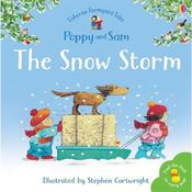 Heather Amery The Snow Storm image