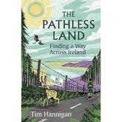 Tim Hannigan The Pathless Land image
