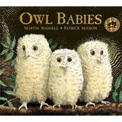 Martin Waddell Owl Babies