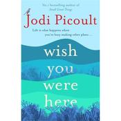 Jodi Picoult Wish You Were Here