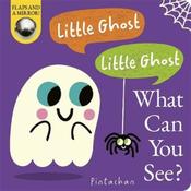 Dee Costello Little Ghost! Little Ghost! What Can You See? image