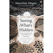 Manchán Magan Seeing What's Hidden: Uncovering Ireland's Ancient Ways Of Knowing image