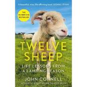 John Connell Twelve Sheep: Life Lessons From A Lambing Season