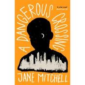 Jane Mitchell A Dangerous Crossing image