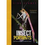 Lisa Clancy Insect Portraits