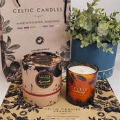 Celtic Candles Celtic Apothecary Aromapot Tumbler - Rejuvenate