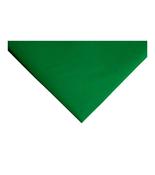 18in x 28in Green Coloured Tissue