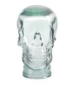 Clear Glass Display Skull