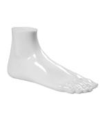 Gloss White Female Foot Display