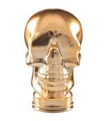Gold Glass Display Skull