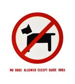 'No Dogs' Adhesive Window Sign - 164mm x 187mm
