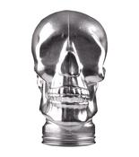 Silver Glass Display Skull