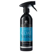 Canter Coat Shine