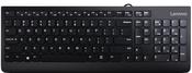 Lenovo 300 keyboard Universal USB QWERTY US English Black image