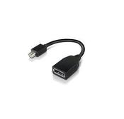 Lenovo 4X90L13971 DisplayPort cable Mini DisplayPort Black image