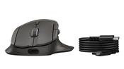 HP UF SCROLL WRLS MSE 785M EMEA-INTL EN mouse image