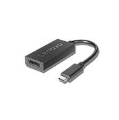 Lenovo 4X90Q93303 video cable adapter 0.2 m USB Type-C DisplayPort Black image