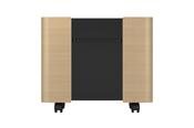 Epson ELPCS01 Mobile A/V Cabinet