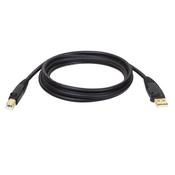 Tripp Lite U022-006 USB 2.0 A to B Cable (M/M), 6 ft. (1.83 m) image