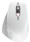 CHERRY STREAM MOUSE COMFORT image