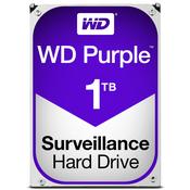 Western Digital Purple internal hard drive 1 TB 5400 RPM 64 MB 3.5" Serial ATA III image