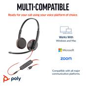 HP Poly Blackwire 3225 Stereo USB-C Headset +3.5mm Plug +USB-C/A Adapter (Bulk) image