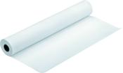 Epson Premium Luster Photo Paper, 16" x 30,5 m, 260g/m² image