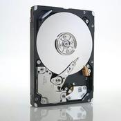 IBM 49Y2078 internal hard drive 600 GB 10000 RPM 2.5" SAS image