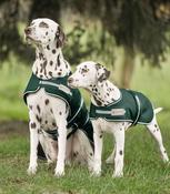 Dog Raincoat Fir Green 35cm[02321039]