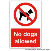 No Dogs Allowed Steel[222nda]