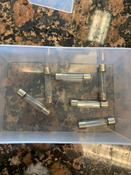 Red Snapper Fuses