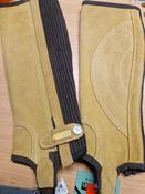 Dublin Suede Half Chaps